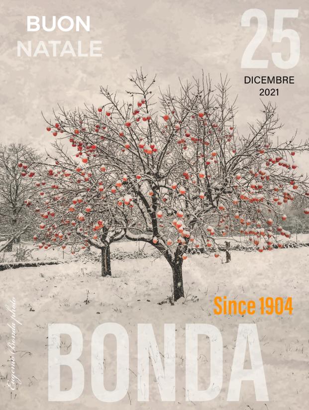 Novità